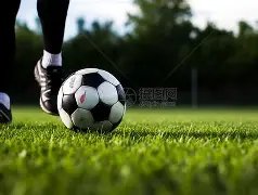 国足教练邵,佳年薪曝光,仅李铁八分,球友会,球友会官网,H5球友会官网,球友会官网玩家首选