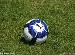 快船对森林,专家解读,对决策略,球友会,球友会官网,H5球友会官网,球友会官网玩家首选