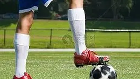 球友会 产品 094750 04x