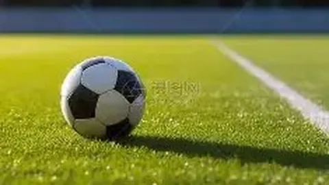 球友会 产品 094741 bli