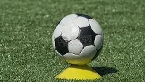 球友会 产品 094900 fal