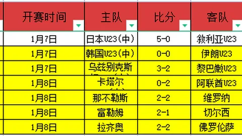 芬兰甲焦点对决：海鸥主场对阵卡塔亚