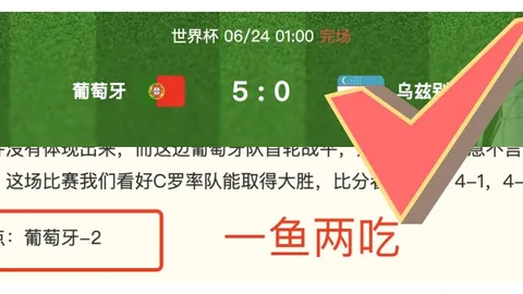 球友会 065230 95